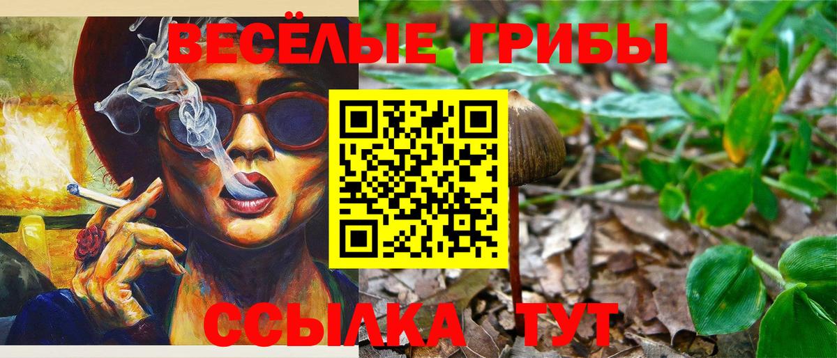 Галлюциногенные грибы MAGIC MUSHROOMS Карасук