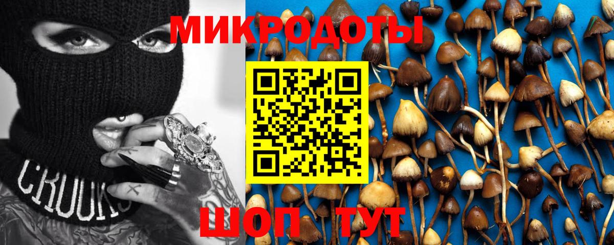 Карасук  Галлюциногенные грибы Magic Shrooms  как найти закладки  Вход с VPN 